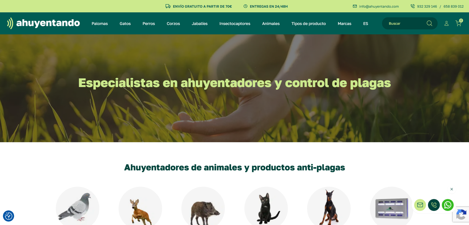 Proyecto 01 de Galeon Studio · WORDPRESS · WOOCOMMERCE